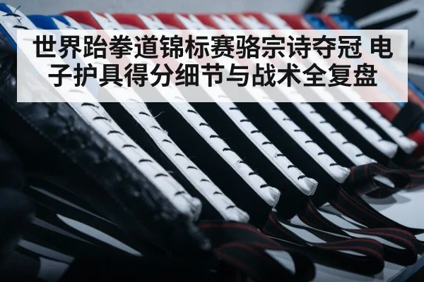 taekwondo electronic protector